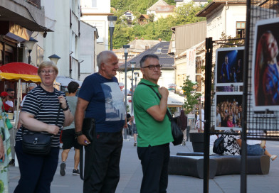 Počeli “Dani dijaspore 2026”