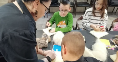 Atelier za igračke od vune vlašićke ovce